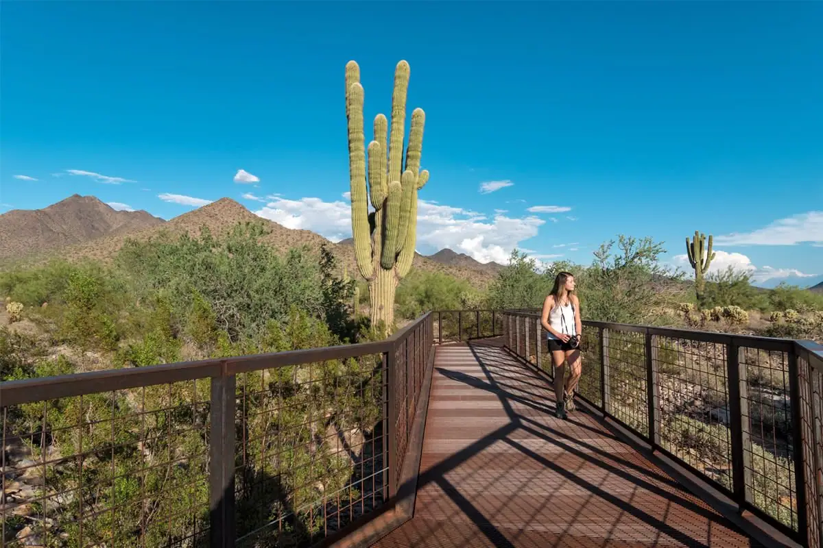 Explore Scottsdale MustDo Activities