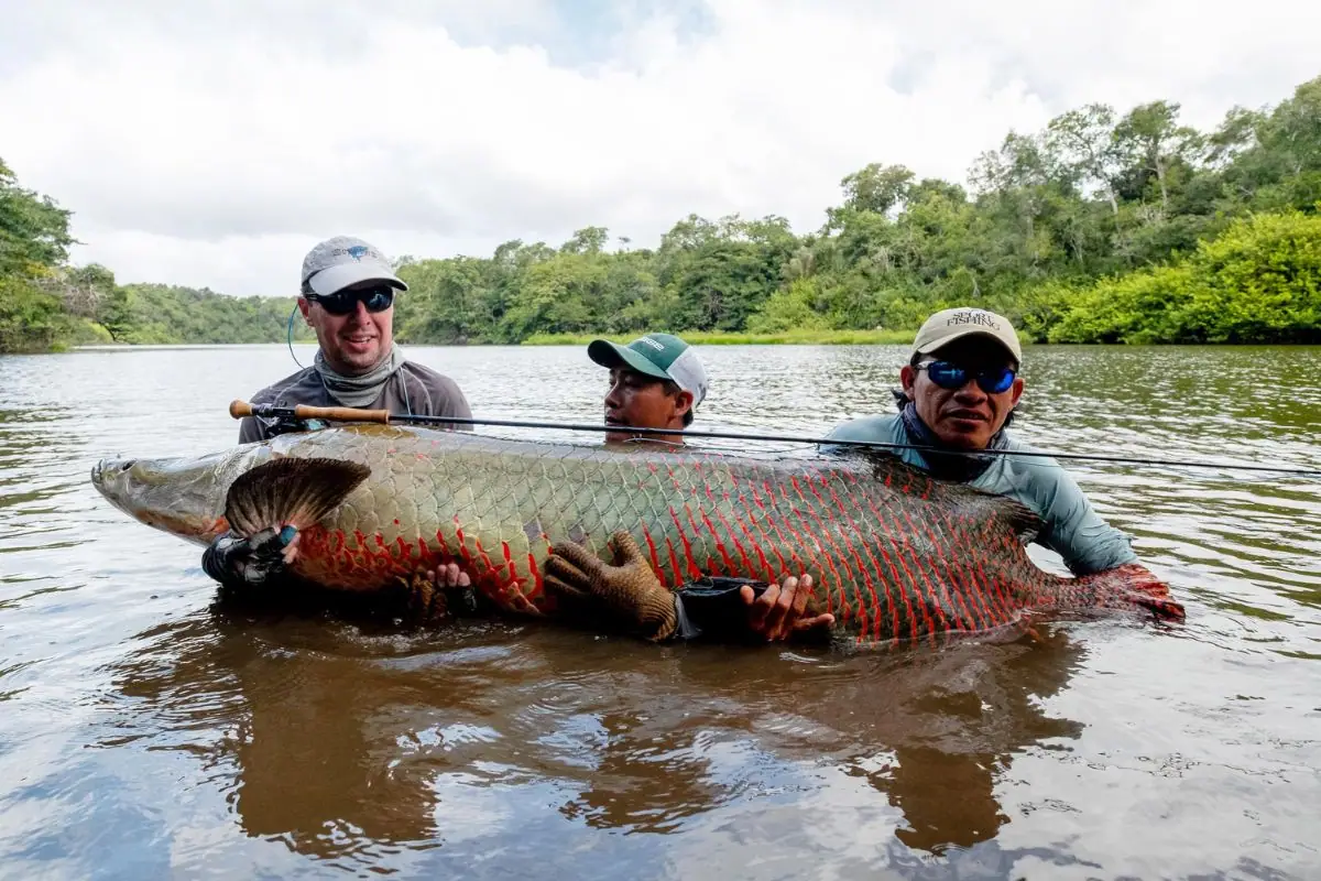 Discovering Guyana: A Selection of Top Activities and Destinations